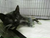 Фотография Трушиной Ирины