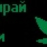 Діма Мазур фотография #32 (источник - https://vk.com/id137892479)