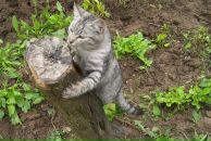 Фотография Радченко Рины