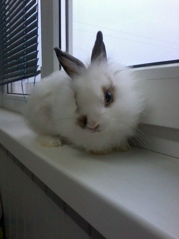 Shnyfel @) фотография #22