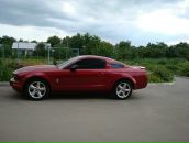 Діма Трубай фотография #1