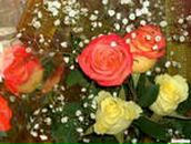 Марія Полюшинська фотография #3 (источник - https://vk.com/id92167956)