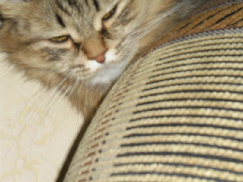 Женя Дмитриев фотография #23