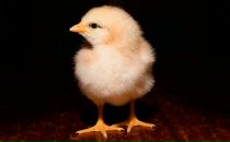 Ігор Завгородній фотография #33 (источник - https://vk.com/id27050164)