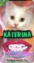 Фотография Кашиной Екатерины