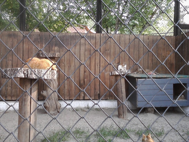 Дмитрий Иост фотография #37