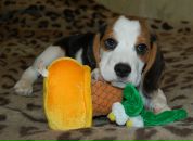 Фотография Ковальчук Валентин