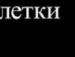 Ангелінка Сенюк фотография #7 (источник - https://vk.com/id132019991)