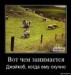  фотография #31