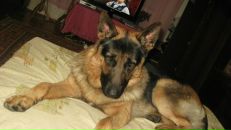 Андрій Корольов фотография #37 (источник - https://vk.com/id75624770)