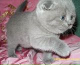 Фотография Суворовой Дарьи