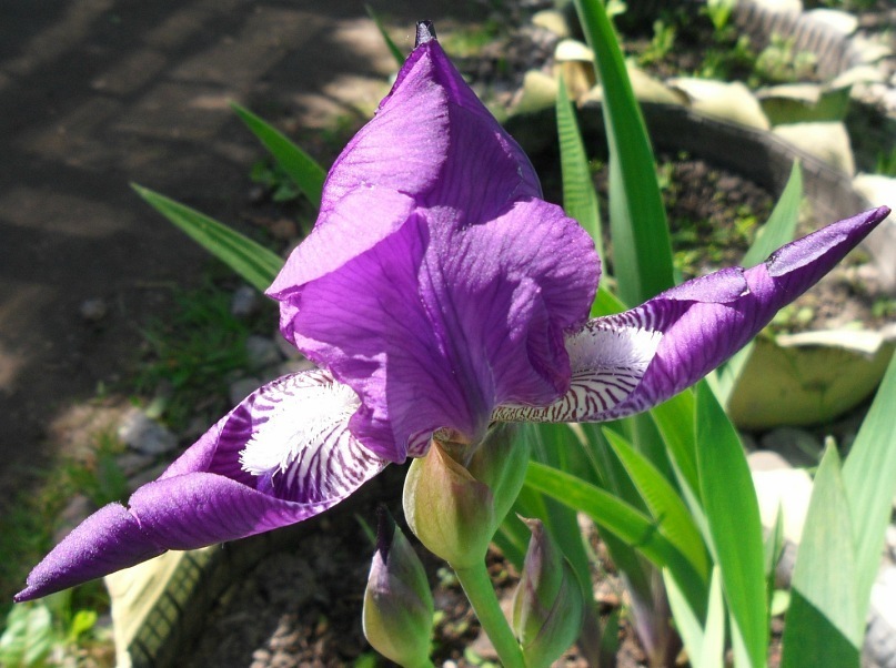 Наталья Мальцева фотография #12