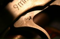 Фотография По Pashtet