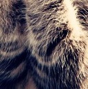 Марія Козак фотография #3 (источник - https://vk.com/id148871802)