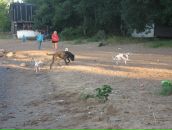 Фотография Карамзина Юлия