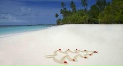 Фотография Анисимовой Натальи