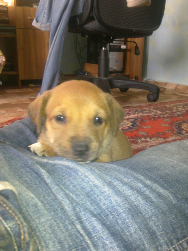 Александр Прокопенко фотография #45