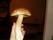 Геннадій Таран фотография #34 (источник - https://vk.com/id68881347)