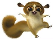 Фотография Соловьевой Анны