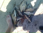 Василь Добродій фотография #50 (источник - https://vk.com/id80332598)